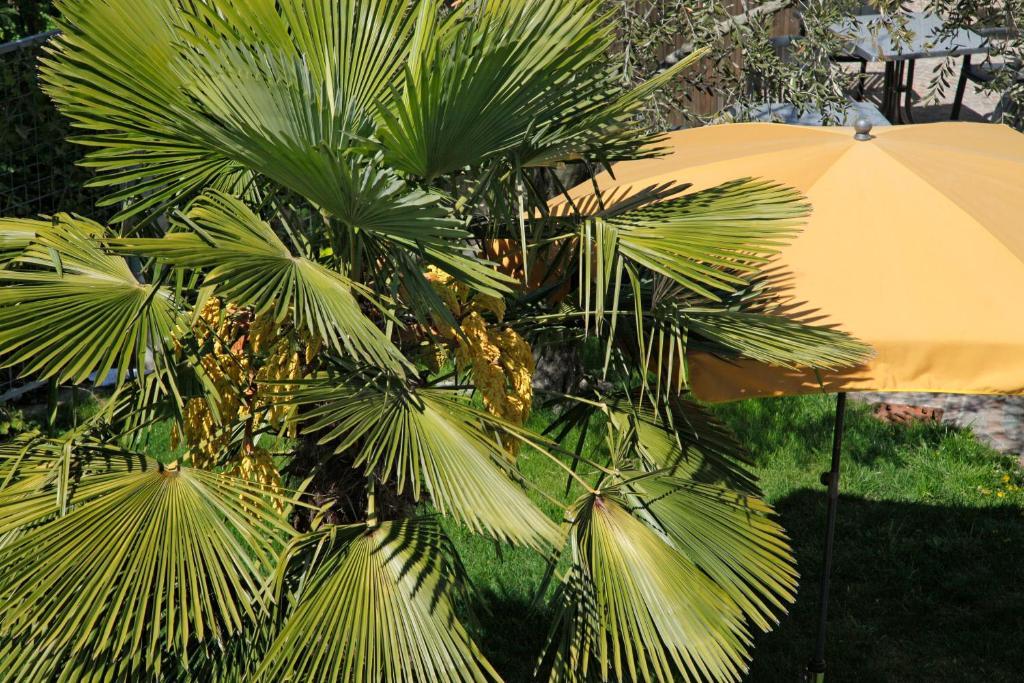 Hotel Jardis (Adults Only) Lana Zewnętrze zdjęcie